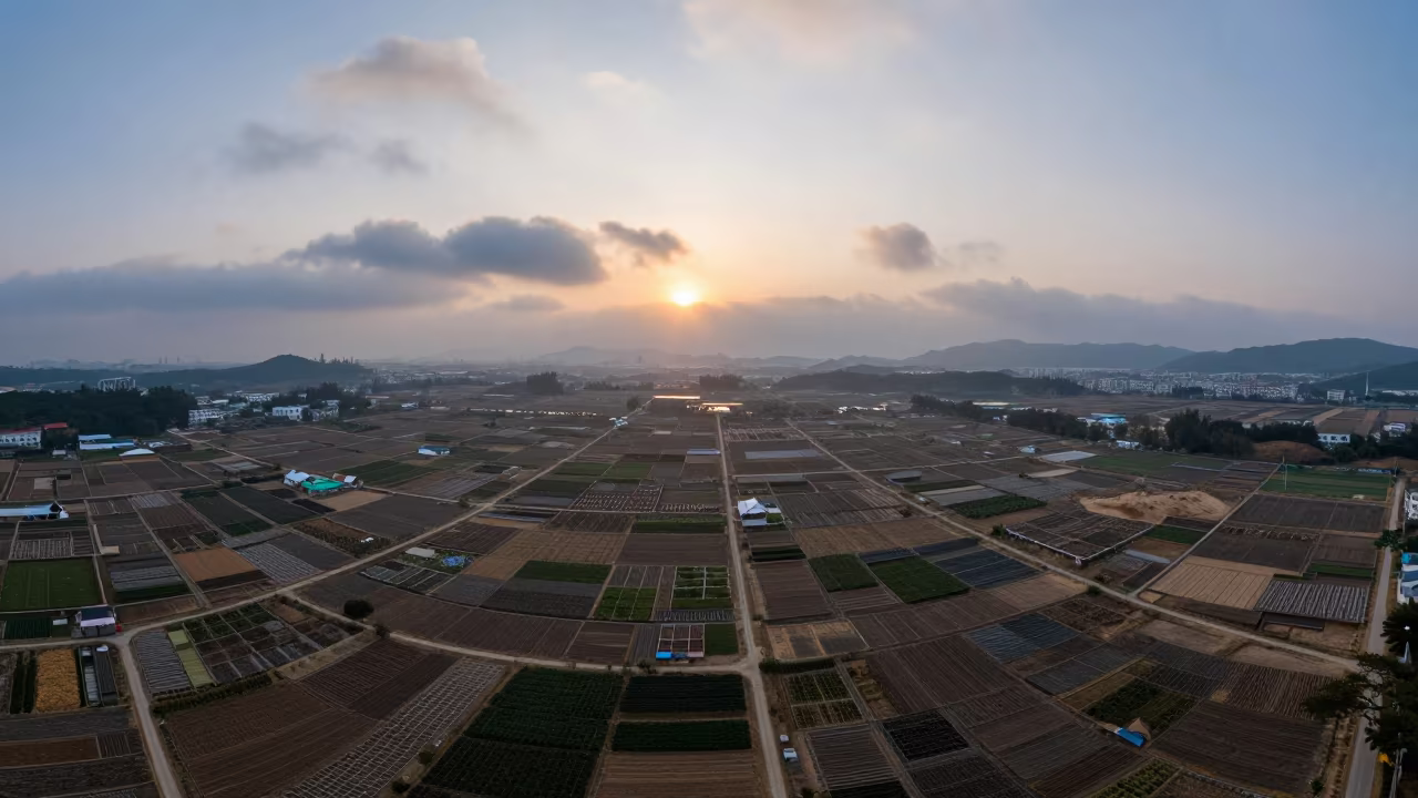 Allotment Gardens Aerial View at Dusk in above dune fields and dry wadis near Shenzhen