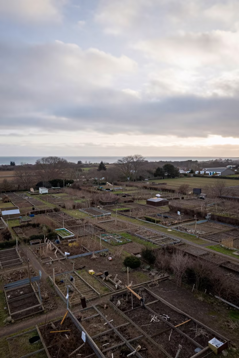 Allotment Gardens Patchwork Aerial View in far above surf-scalloped coastline near Zhengzhou