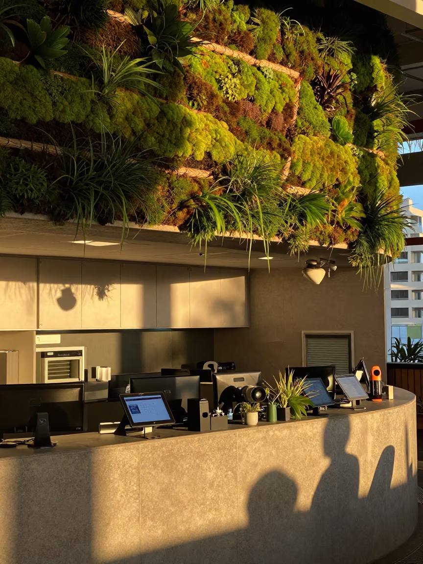 Amber Dispatch Office with Sideways Growing Moss in inside a dispatch office above the dock near Waikiki, Honolulu