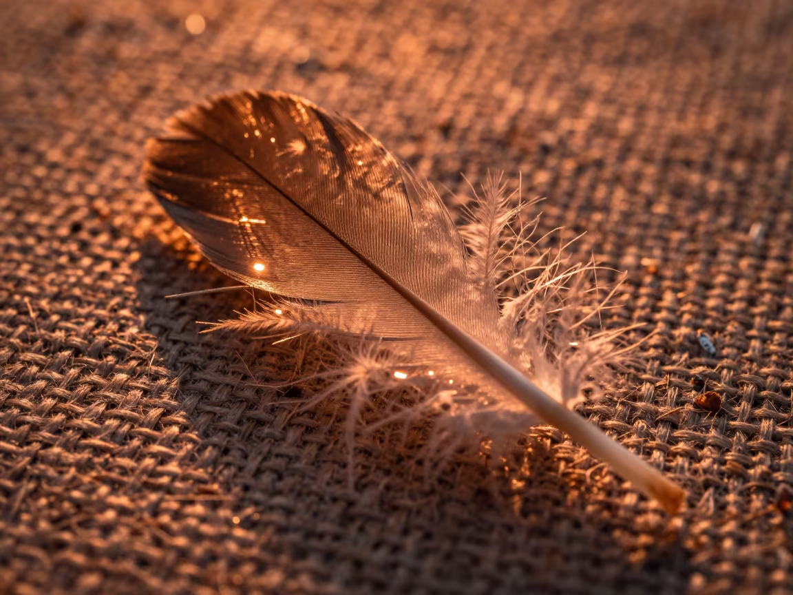 Amber Feather Detail on Woven Linen in against woven linen fibers in Qingdao