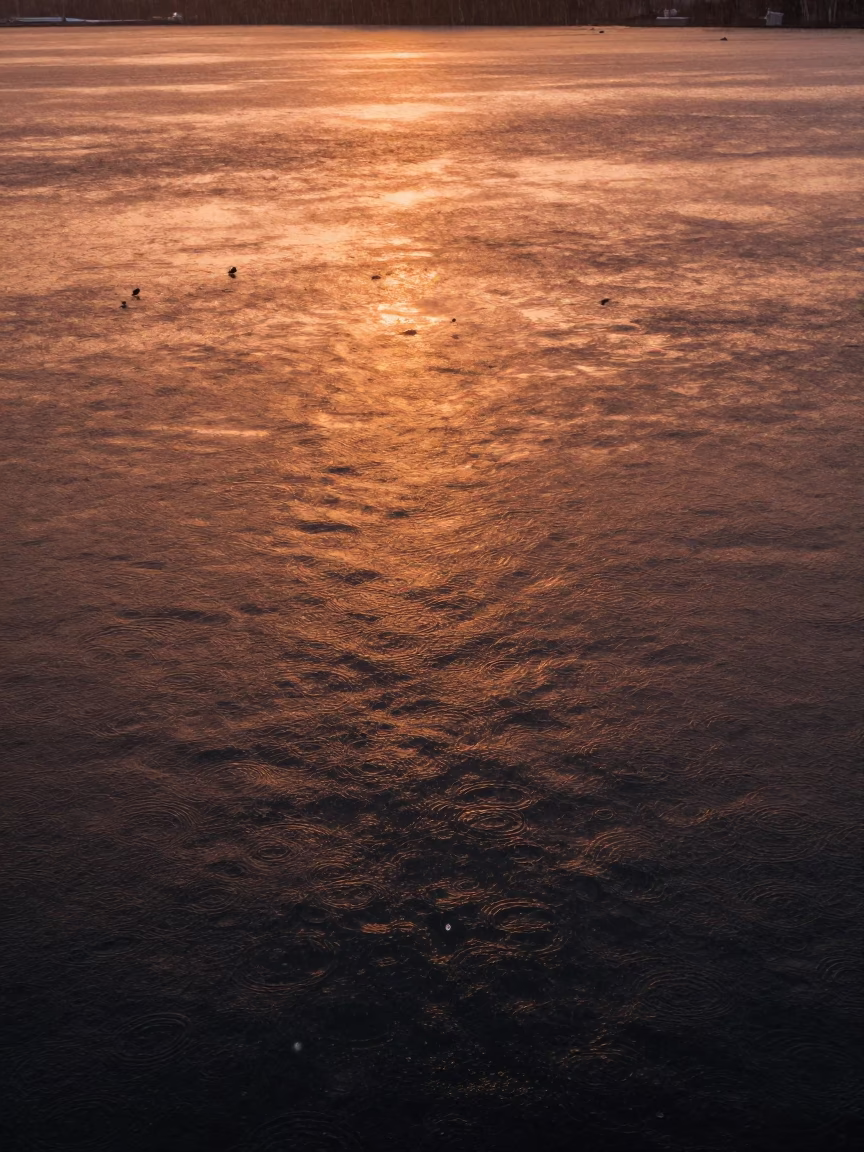 Amber Moire Waves on Rhode Island Lake at Dusk in in Rhode Island