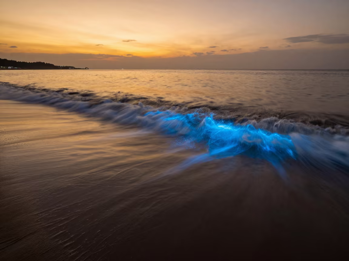 Amber Sunset Glow Over Bioluminescent Bay Taiwan in beneath a moon-washed horizon in Taiwan