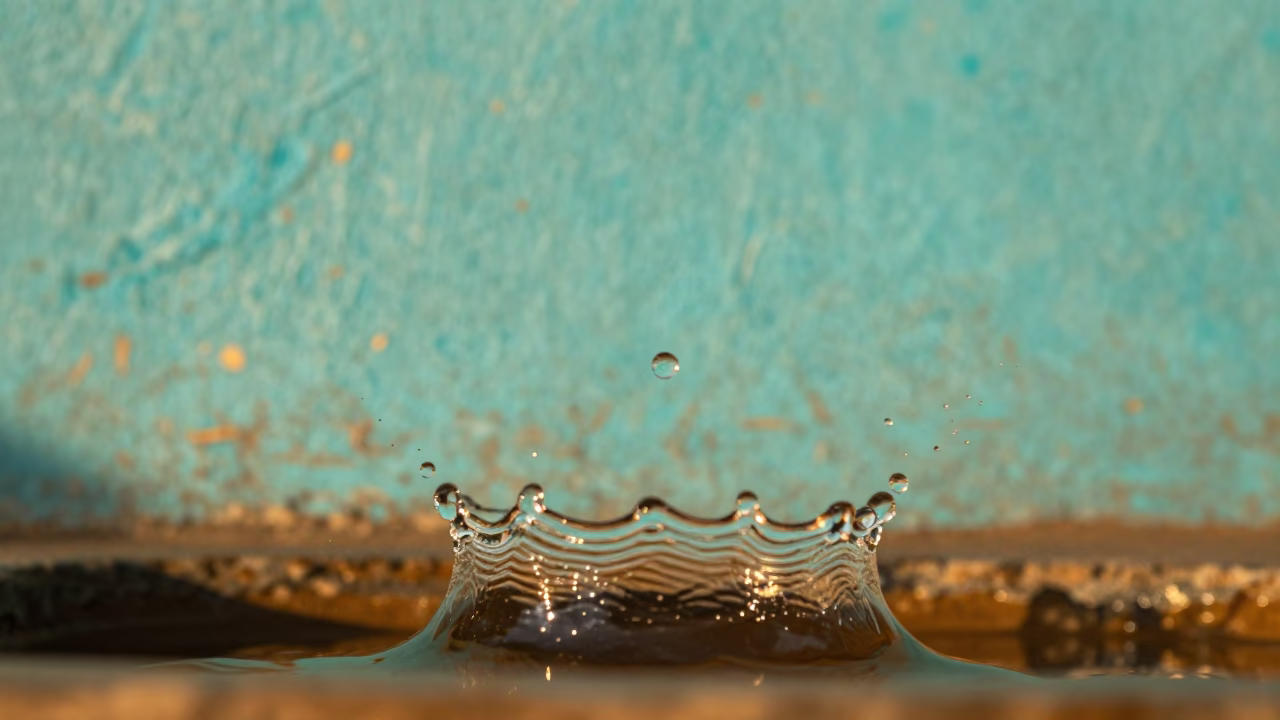 Amber Sunset Crown Splash Macro Turquoise Wall in against weathered turquoise paint in Morogoro
