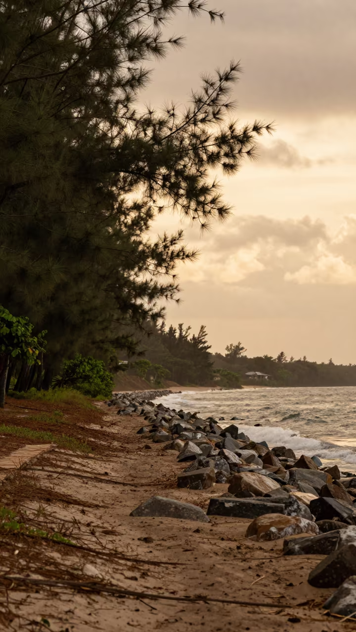 Amber Sunset Over Ouidah Pine Barrens Shoreline in along a wave-cut shoreline near Ouidah