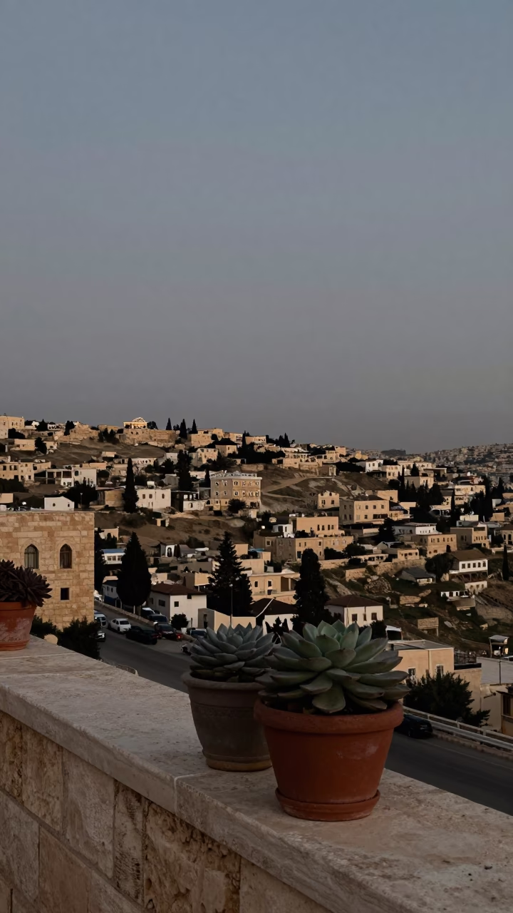 Amman Jordan Early Evening Street Scene with Potted Succulents and Traditional Architecture in in Amman, Jordan