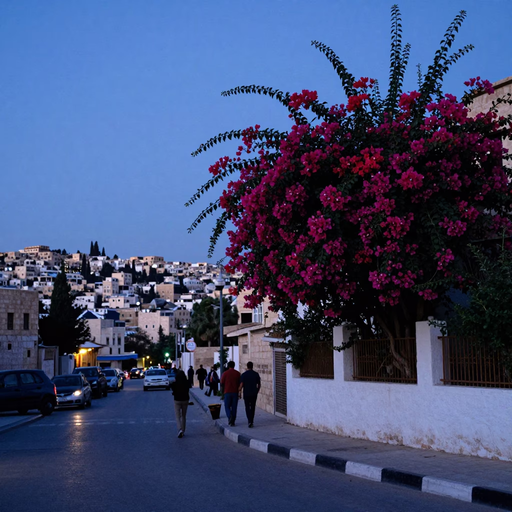 Amman Jordan Indigo Twilight Street Scene with Bougainvillea and Traditional Cafe in in Amman, Jordan
