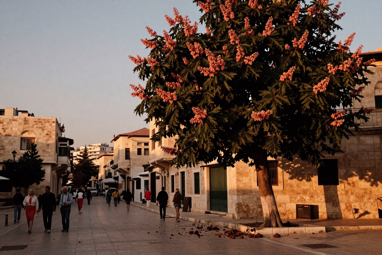 Amman Jordan Street Scene Before Dusk with Chestnut Tree and Local Commerce in in Amman, Jordan
