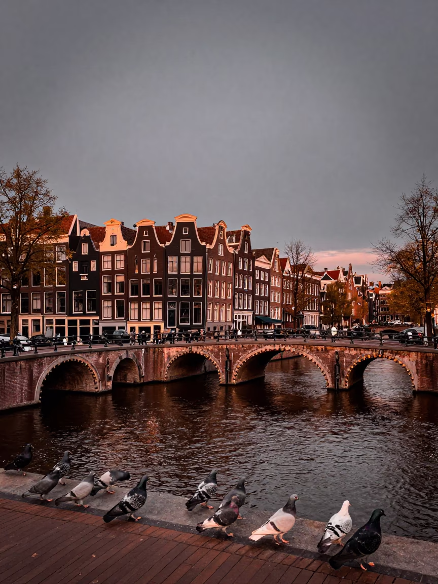Amsterdam Canal Dusk Pigeons on Brick Bridge 1960s Style Copper Light in in Amsterdam, Netherlands