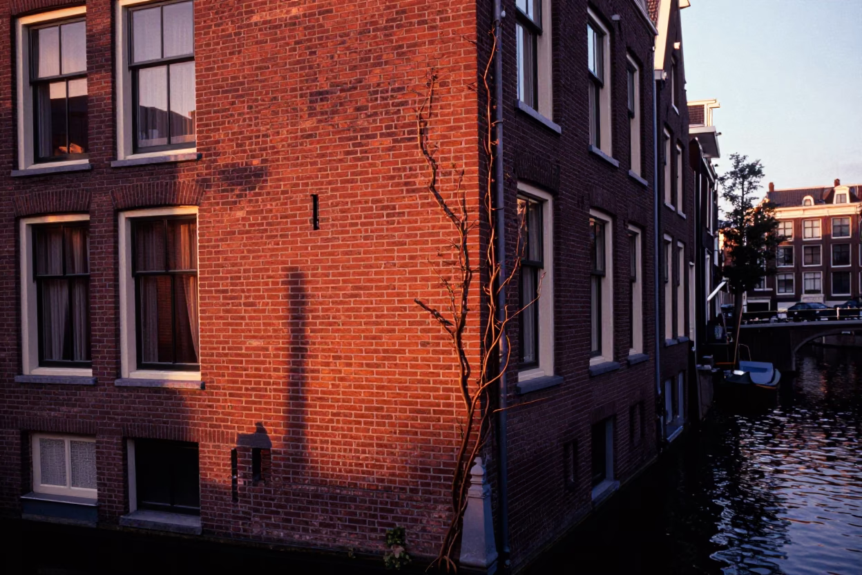 Amsterdam Canal House Brickwork and Vine in Copper Toned Light Before Dusk in in Amsterdam, Netherlands