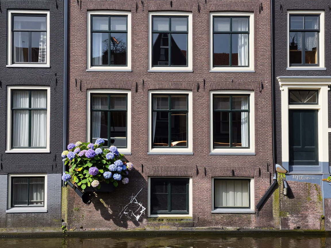 Amsterdam Canal House Facade with Hydrangeas and Scratched Drain at Noon in in Amsterdam, Netherlands