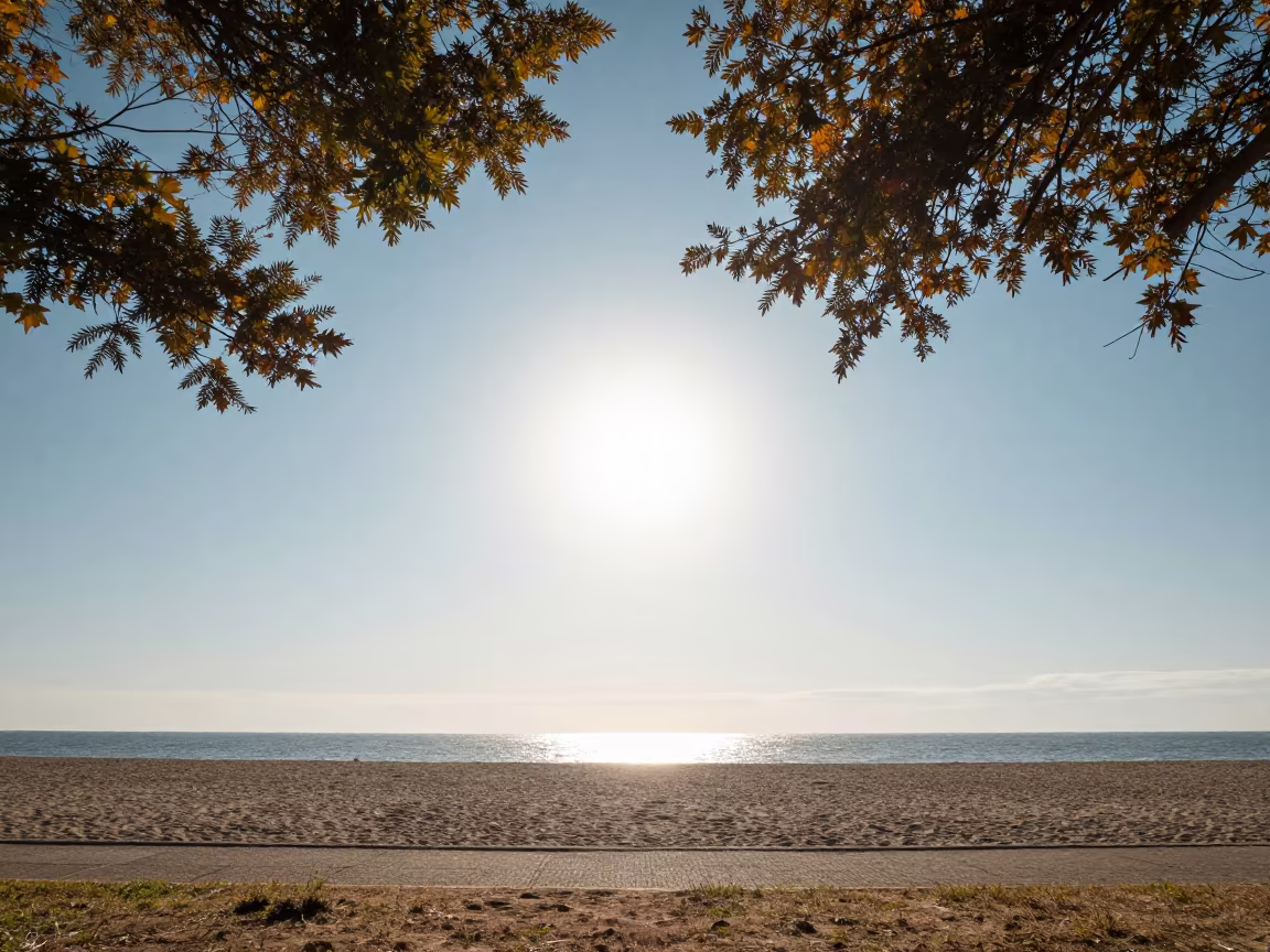 Anti-Crepuscular Rays Over Argentine Coast in in Argentina