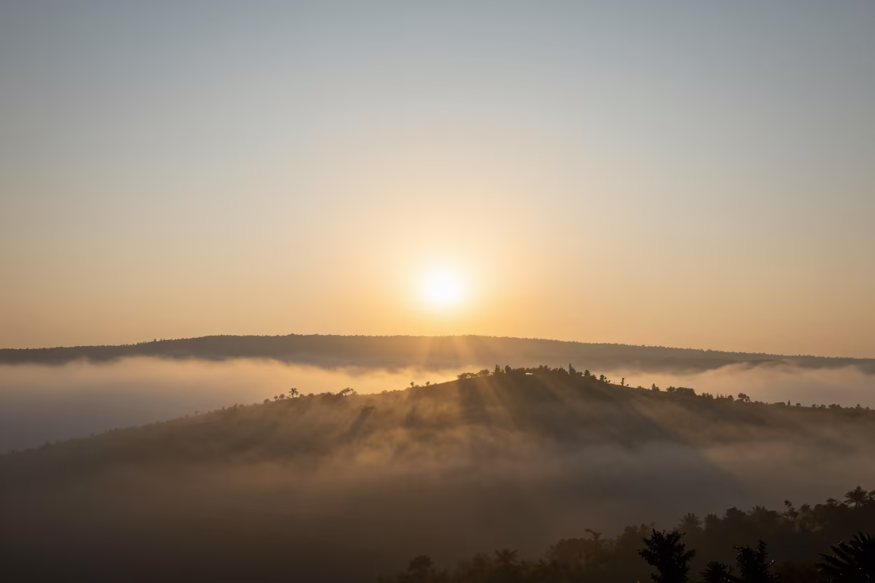 Anti-Crepuscular Rays Through Fog in Mizoram in through low marine fog in Mizoram