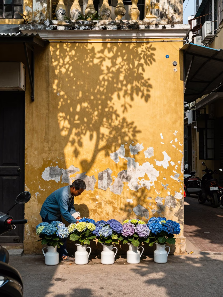 Arranging Hydrangeas in Hanoi in in Hanoi, Vietnam