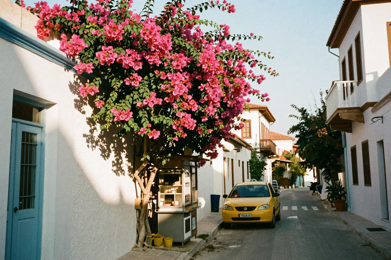 Athens Greece Early Afternoon Street Scene with Bougainvillea and Traditional Architecture in in Athens, Greece