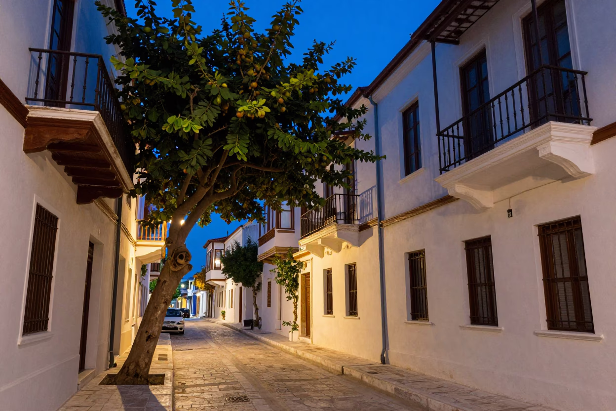 Athens Greece indigo twilight street scene with fig tree and local life in in Athens, Greece