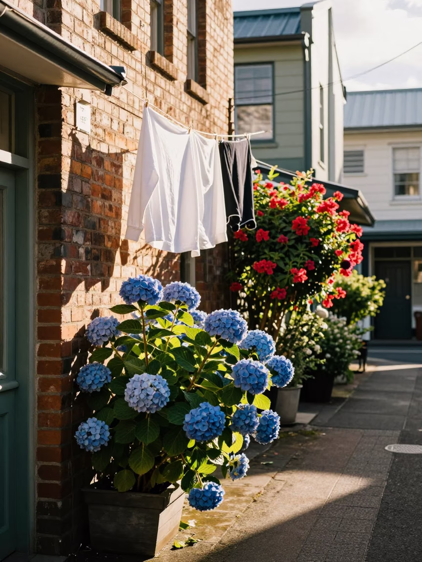 Auckland laneway with hanging laundry and vibrant flowers in in Auckland, New Zealand
