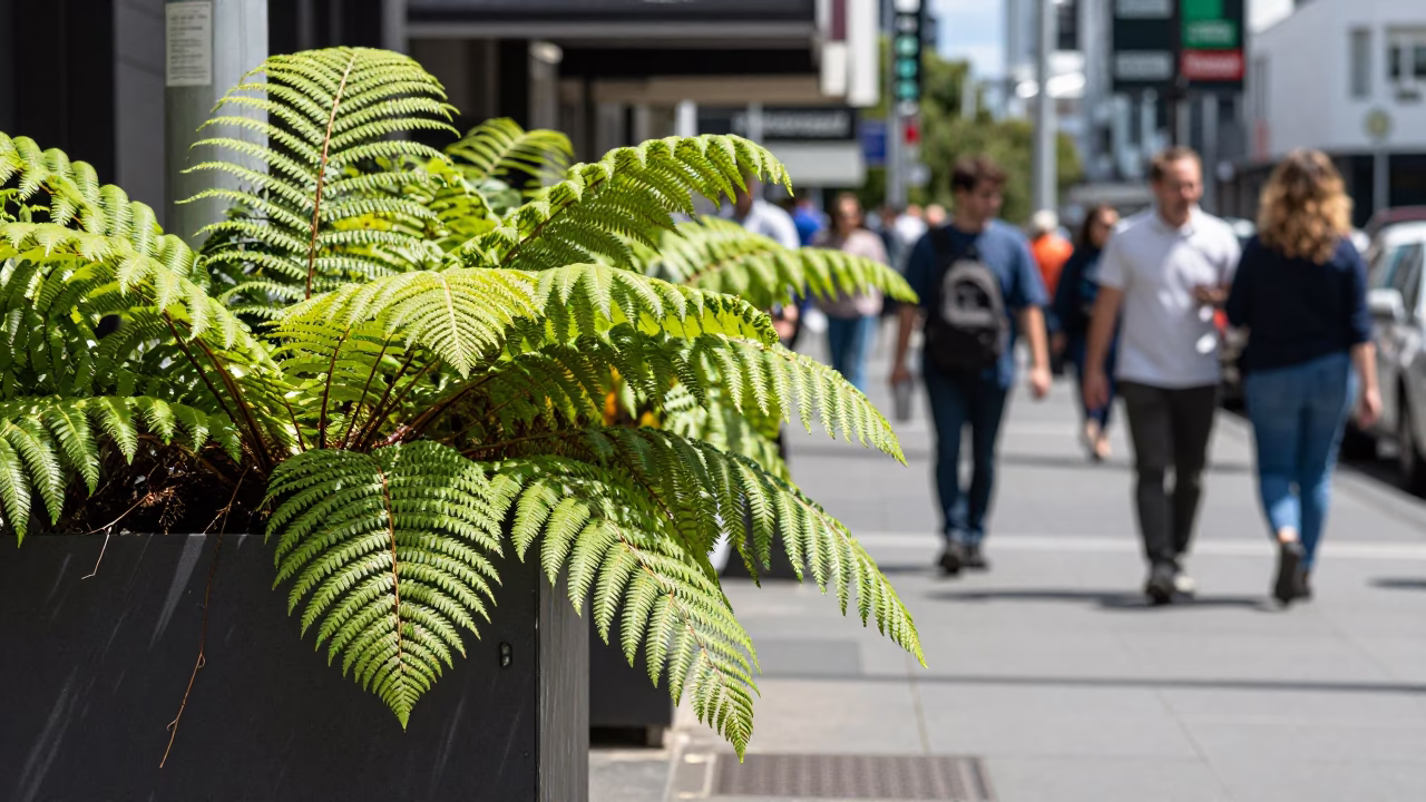 Auckland Street Scene at Afternoon Light in in Auckland, New Zealand