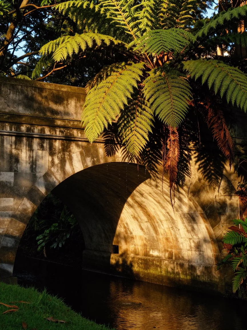 Auckland Viaduct Arch Undercroft Dripping Ferny Stone in Honeyed Evening Light in in Auckland, New Zealand