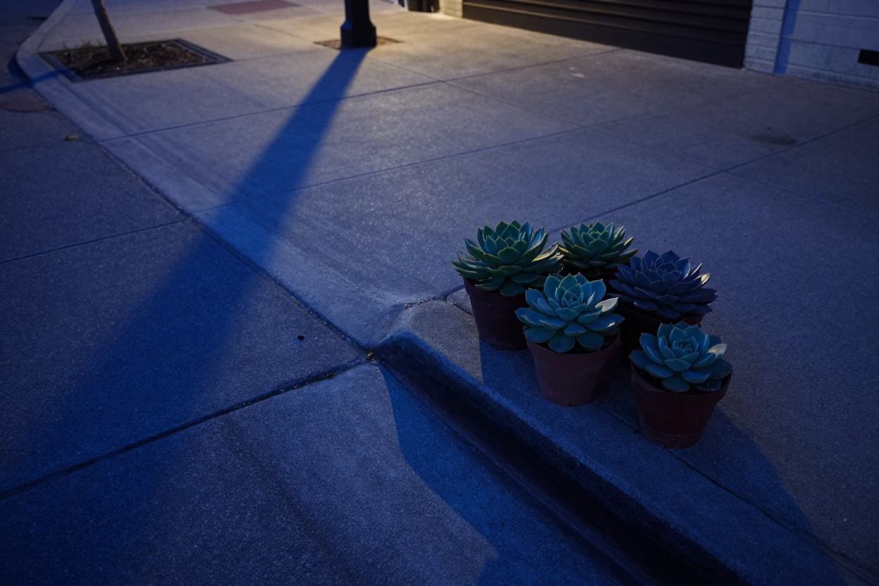 Austin Pre-dawn Quiet at Sunrise Light in in Austin, Texas, United States