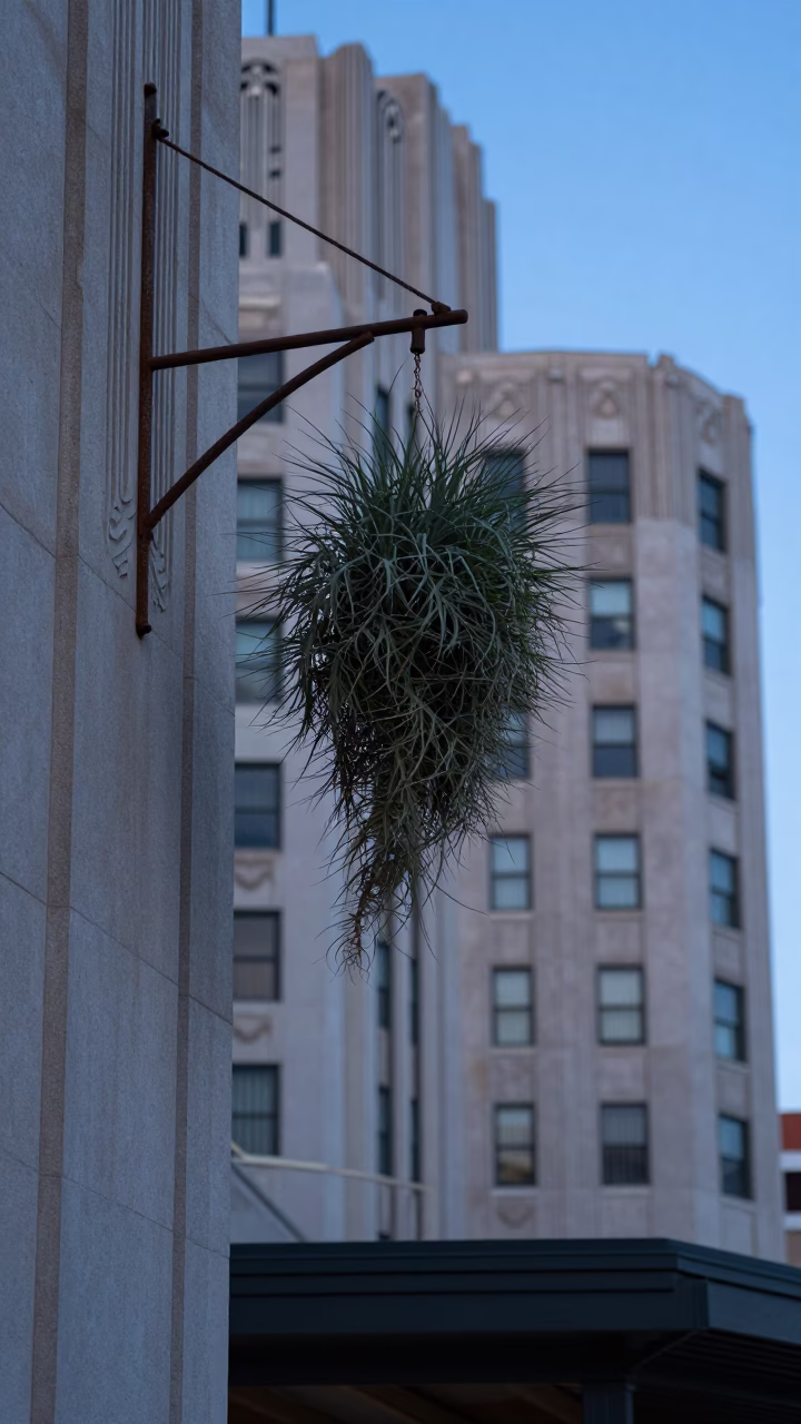 Austin Texas Evening Art Deco Hotel Facade with Hanging Air Plant and Street Scene in in Austin, Texas, United States