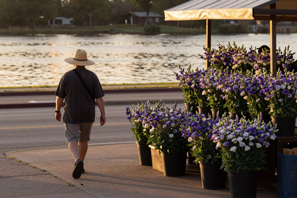 Austin Texas Sunset Street Scene with Straw Hat and Lisianthus Flowers Near River in in Austin, Texas, United States
