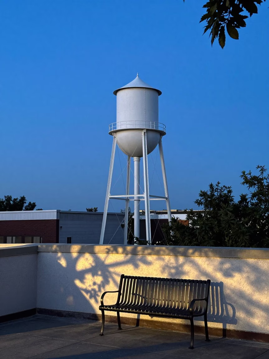Austin Texas Twilight Water Tower Rooftop View with Leaf Shadows and Grapes in in Austin, Texas, United States