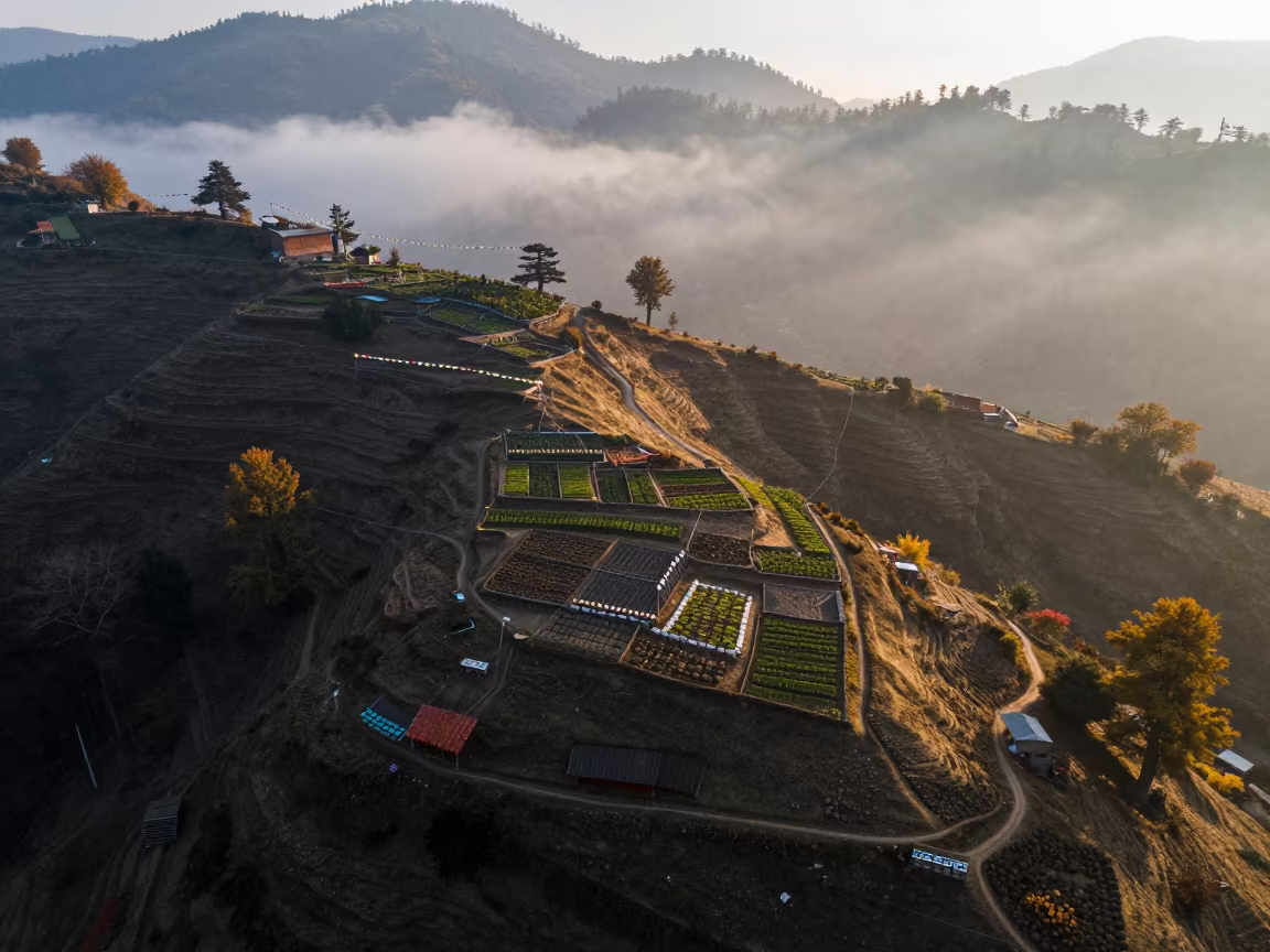 Autumn Allotment Plots in Mist on Shimla Ridge in on a wind-cut ridge below prayer flag lines near Shimla
