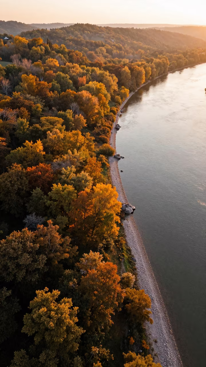 Autumn canopy glow over river bend Serbia in along a wave-cut shoreline in Serbia