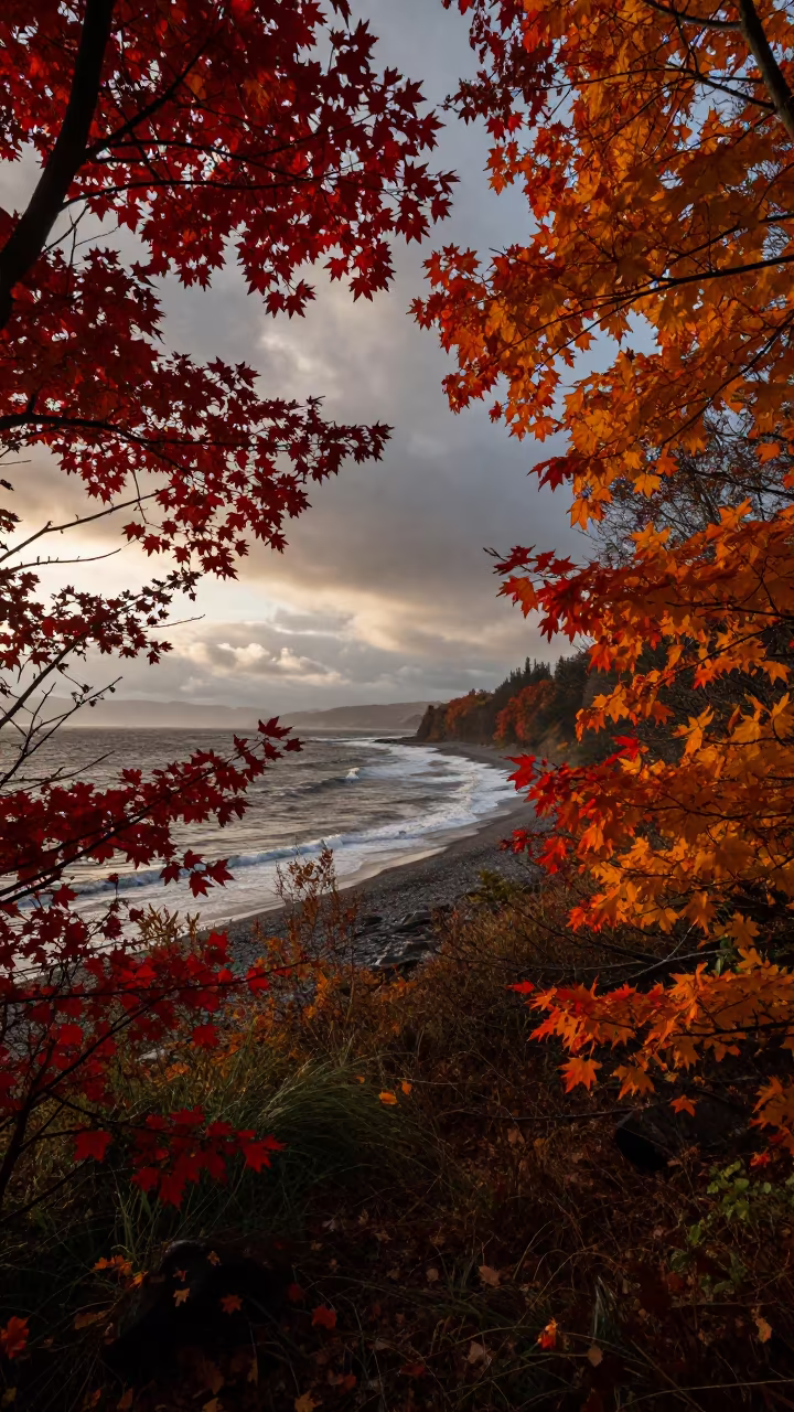 Autumn Canopy Over Wave-Cut Shoreline at Dawn in along a wave-cut shoreline near Aba