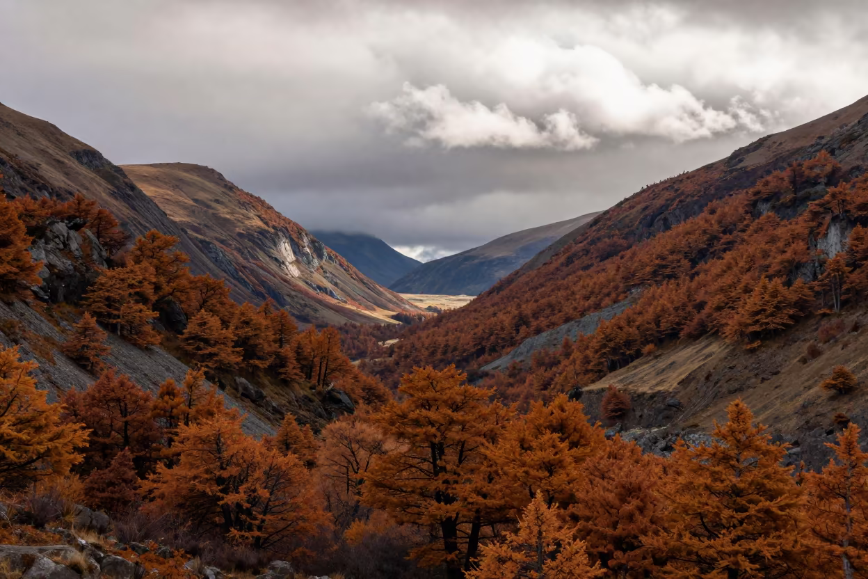 Autumn Cedar Valley Rain Shadow Patagonia in across a wide valley floor in Patagonia
