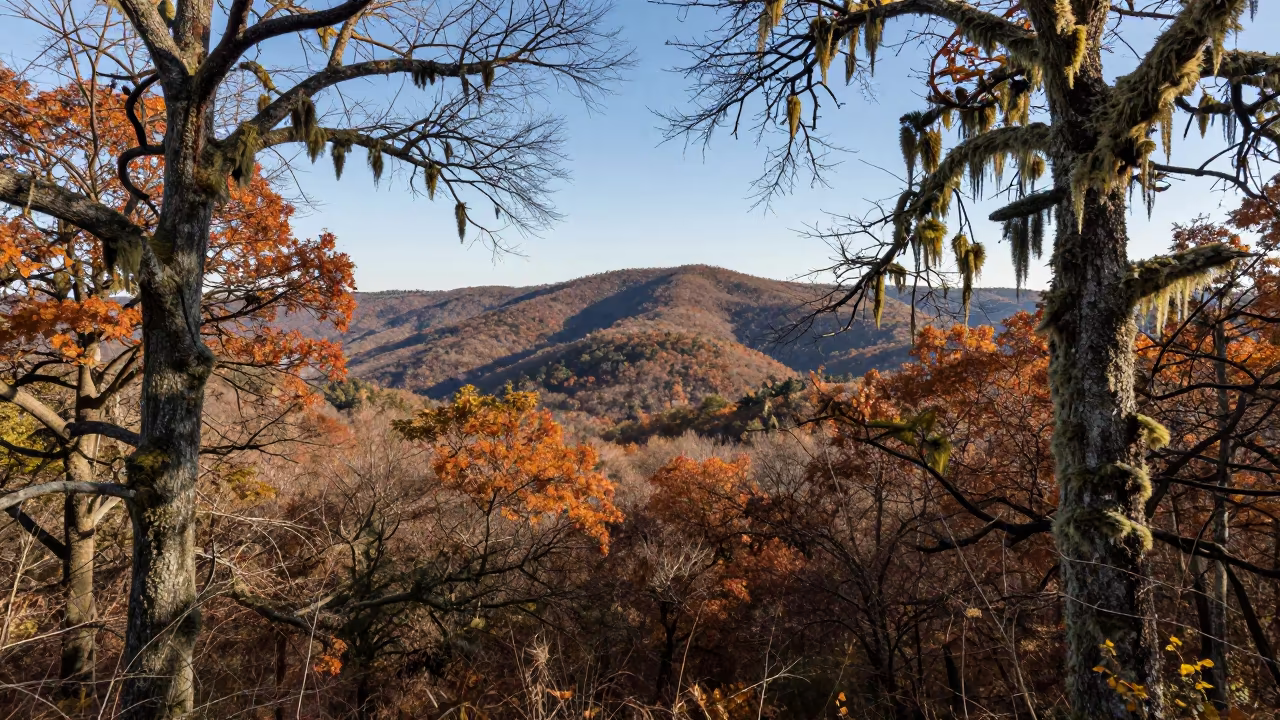 Autumn Cloud Forest Ridge Texas Foothills in from a ridge above layered foothills in Texas