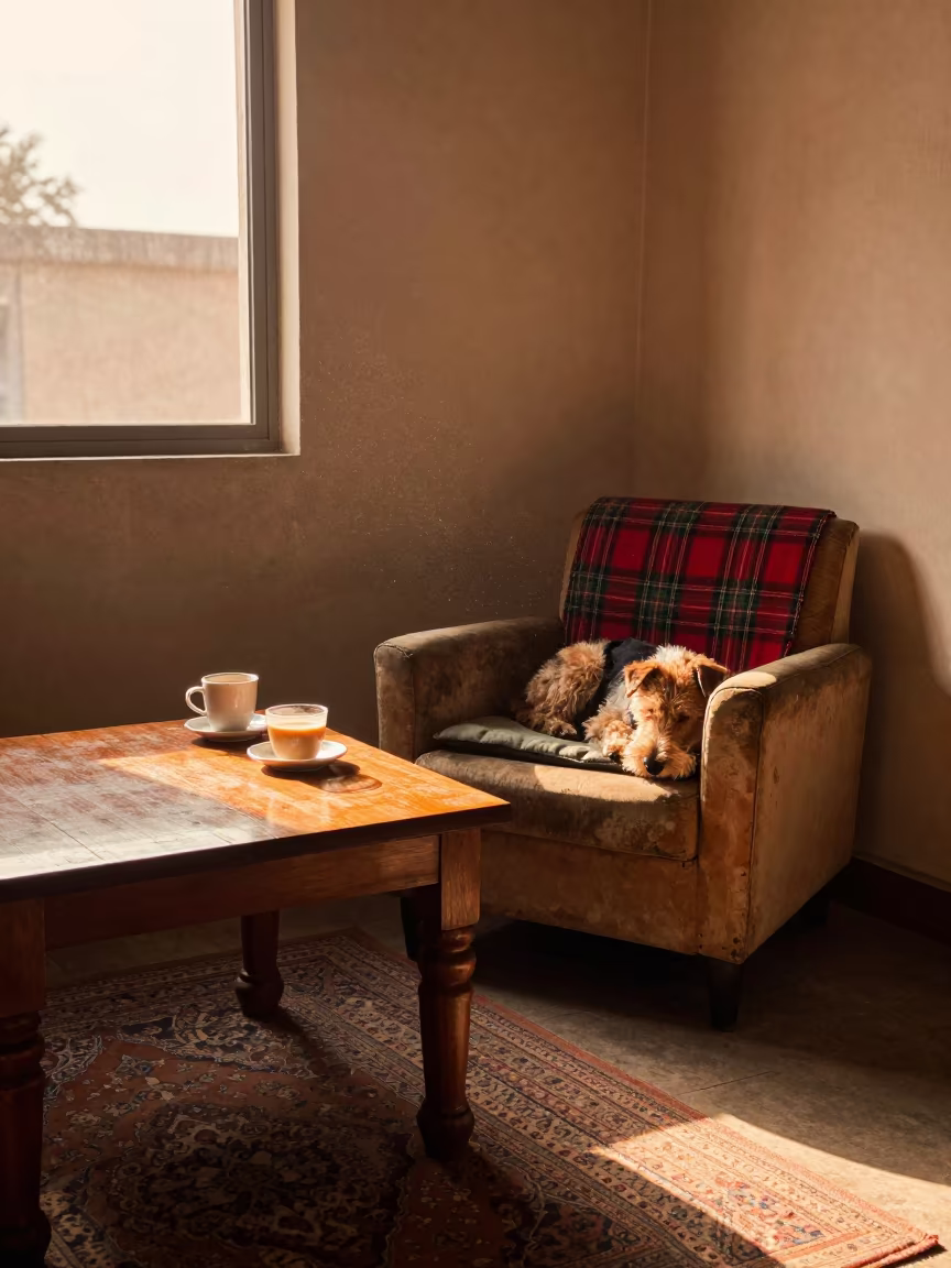 Autumn Fireside Armchair with Sleeping Terrier in in a breakfast nook in Faisalabad