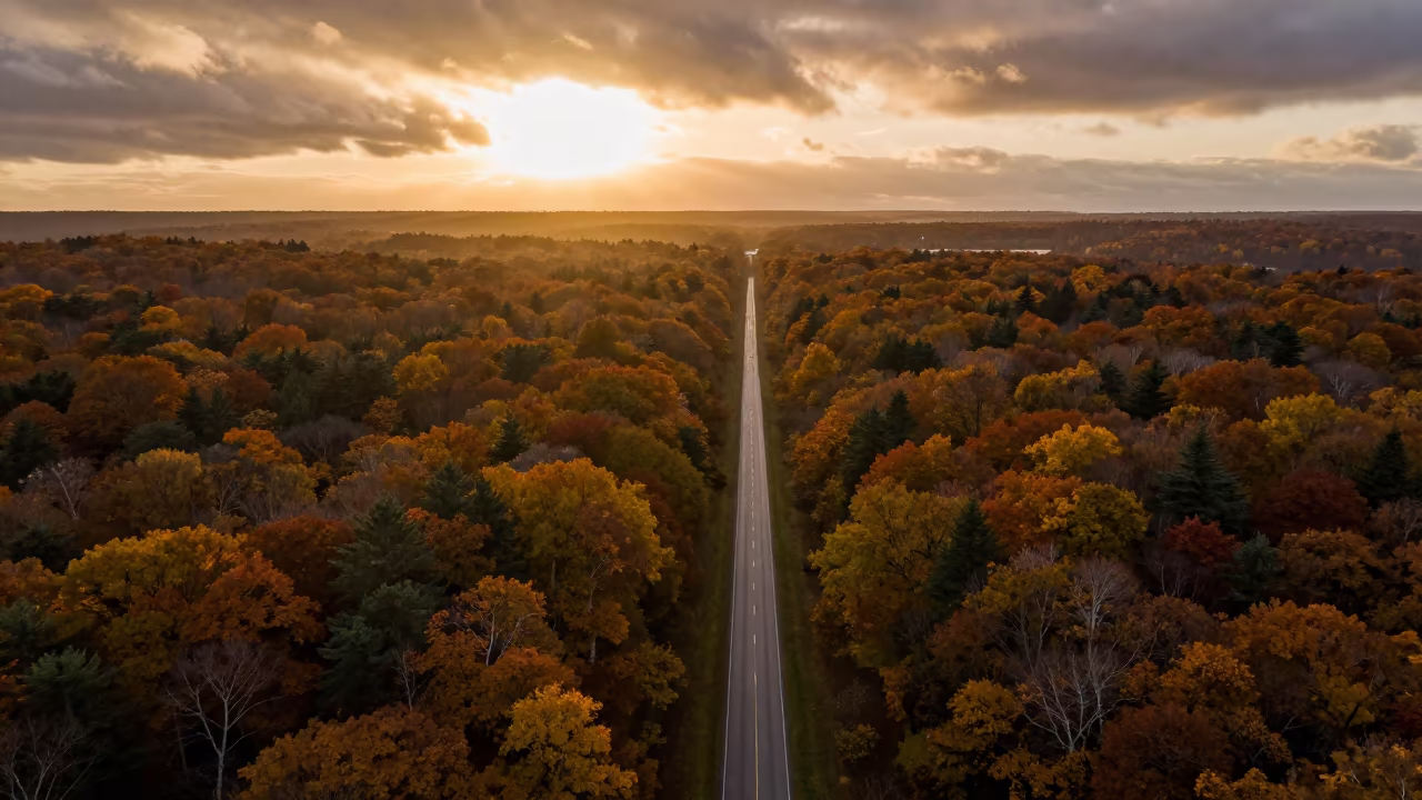 Autumn Forest Canopy Split by Road at Sunset in far above surf-scalloped coastline in Pará