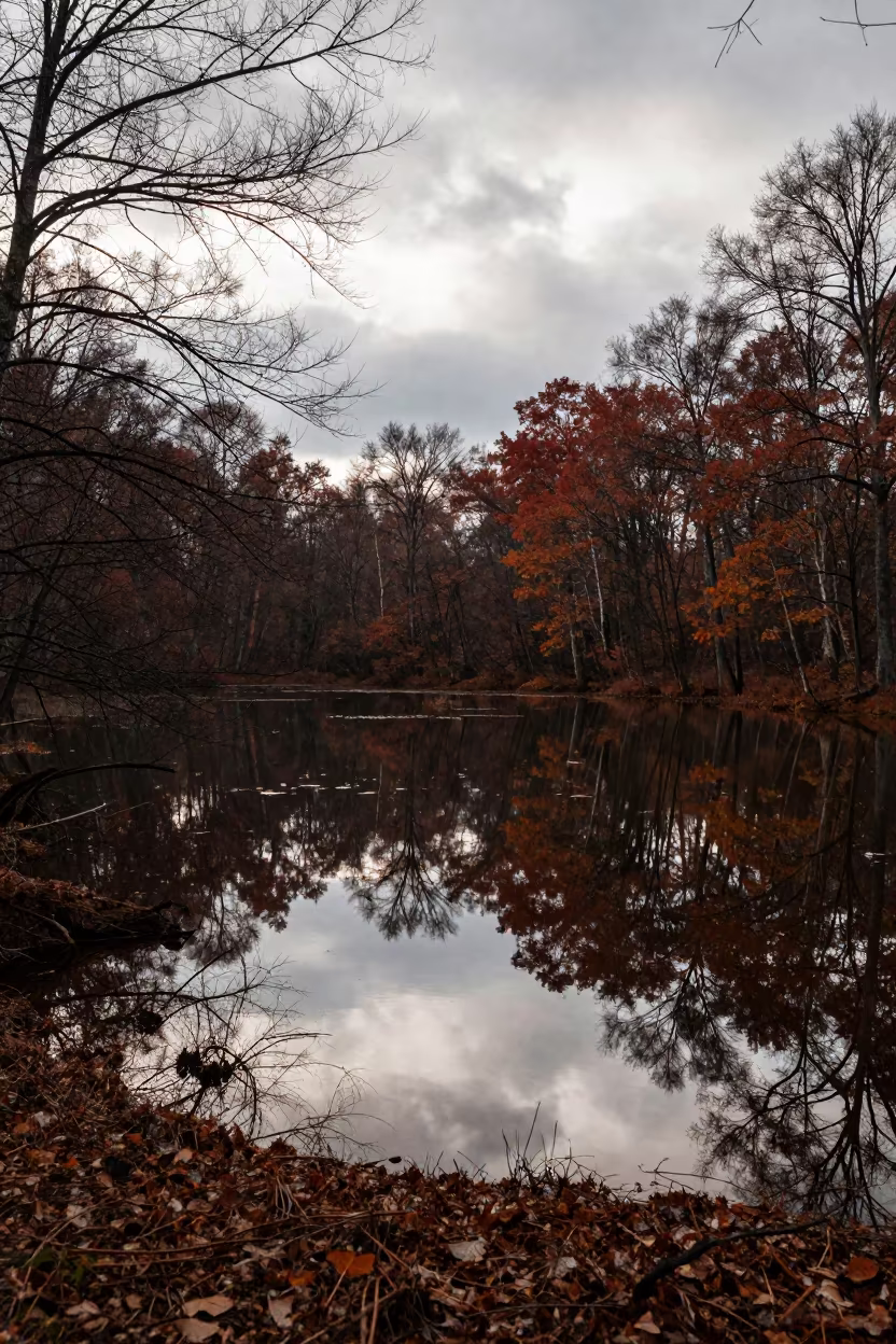 Autumn Forest Reflection in Kilis Lake in across a floodplain after rain near Kilis