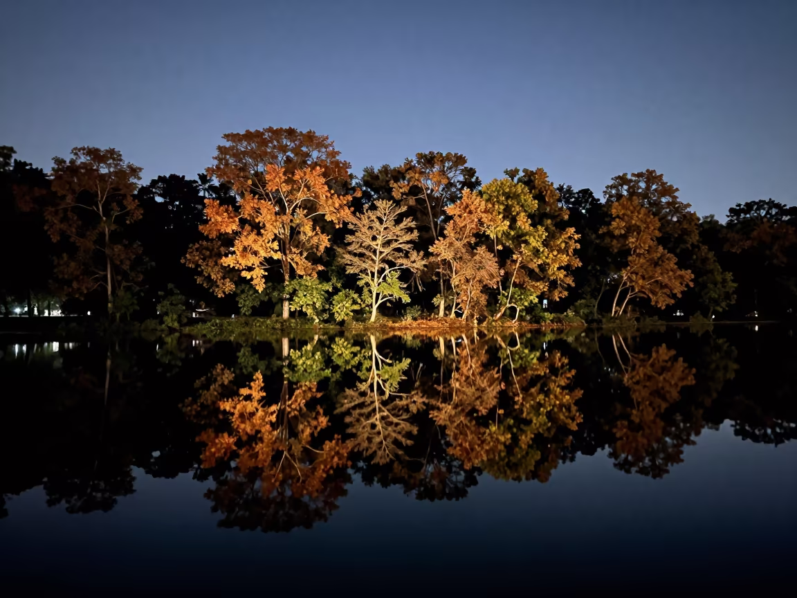 Autumn Forest Reflection on Phnom Penh Lake at Night in near BKK1, Phnom Penh