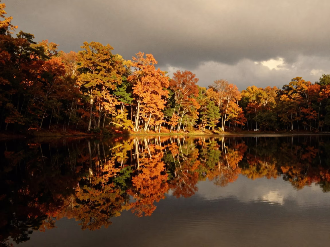Autumn Forest Silhouette Reflected in Venezuelan Lake in in Venezuela