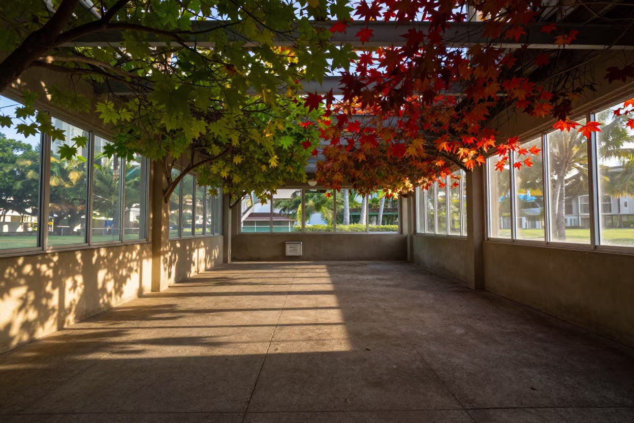 Autumn Leaves Green to Crimson in Waikiki Skylight in inside a skylit passageway in Waikiki, Honolulu