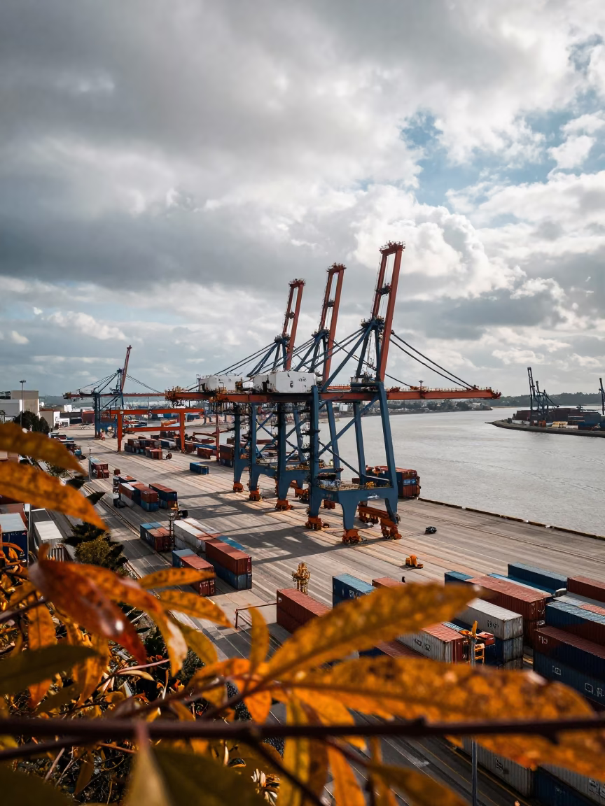 Autumn Leaves Over Porto Container Port Drone View in beside a tidal inlet near Porto