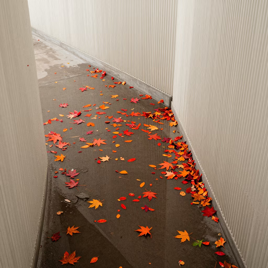Autumn Leaves Spinning in Bat Yam Lobby Puddle in inside a ribbed concrete lobby in Bat Yam