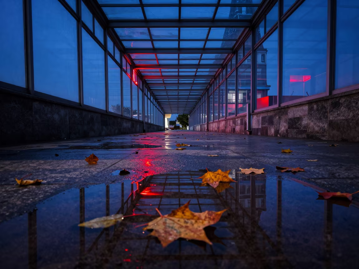 Autumn Leaves Spinning in Neon Puddle in inside a glass-roofed arcade in Porto-Novo