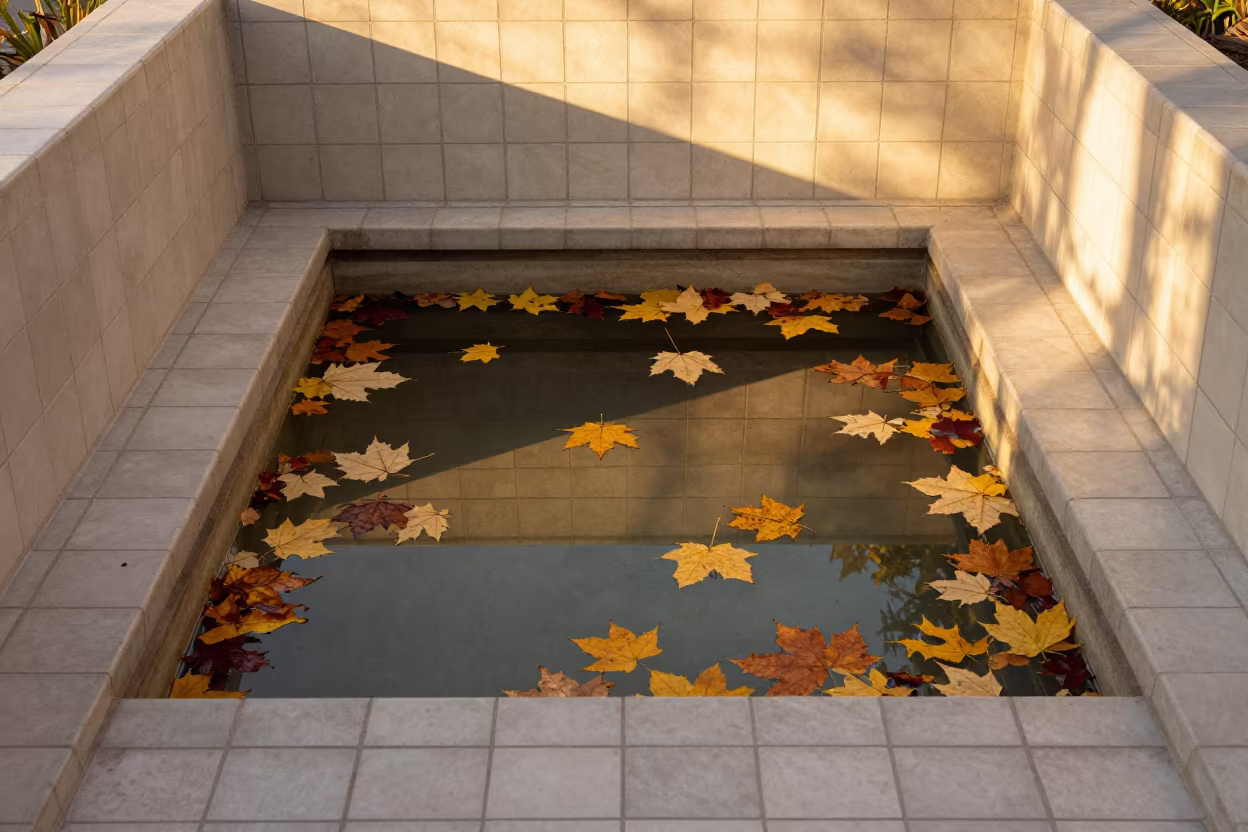 Autumn Leaves Pooled in Tiled Stair Hall in inside a tiled stair hall in San Francisco