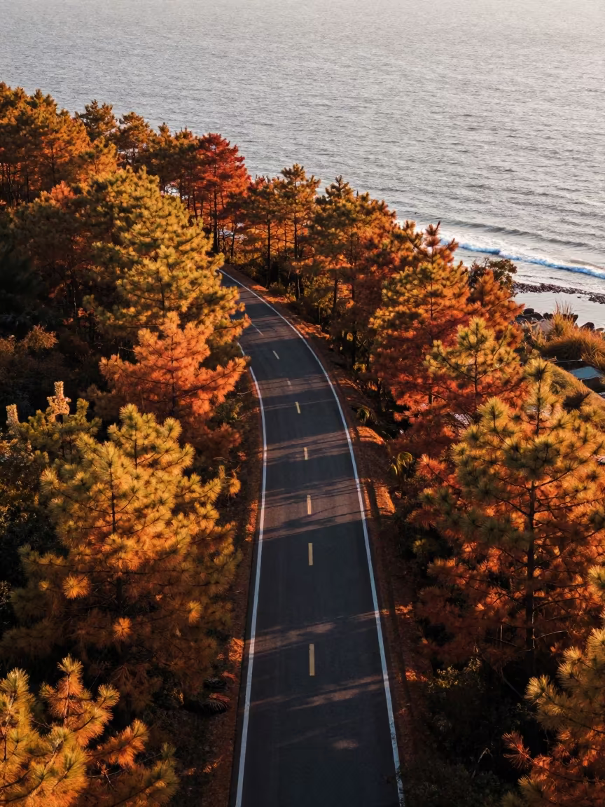 Autumn Logging Road Above Shanghai Coastline in far above surf-scalloped coastline near Xintiandi, Shanghai