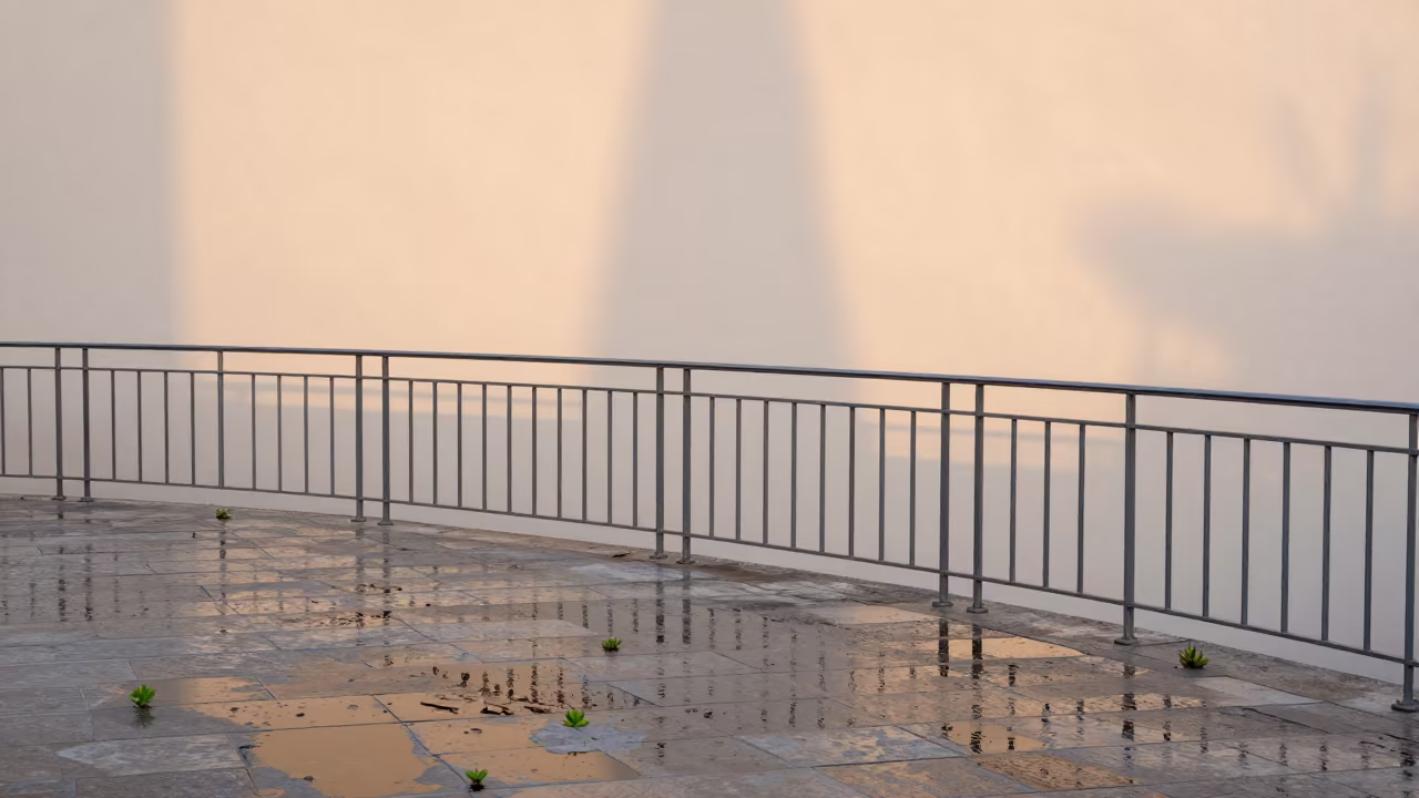 Autumn Rain Pools on Stone Patio with New Shoots in on a pier railing in Messina
