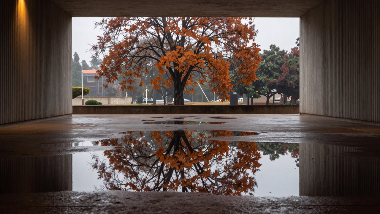 Autumn Reflection in Concrete Gaborone Lobby in inside a ribbed concrete lobby in Gaborone