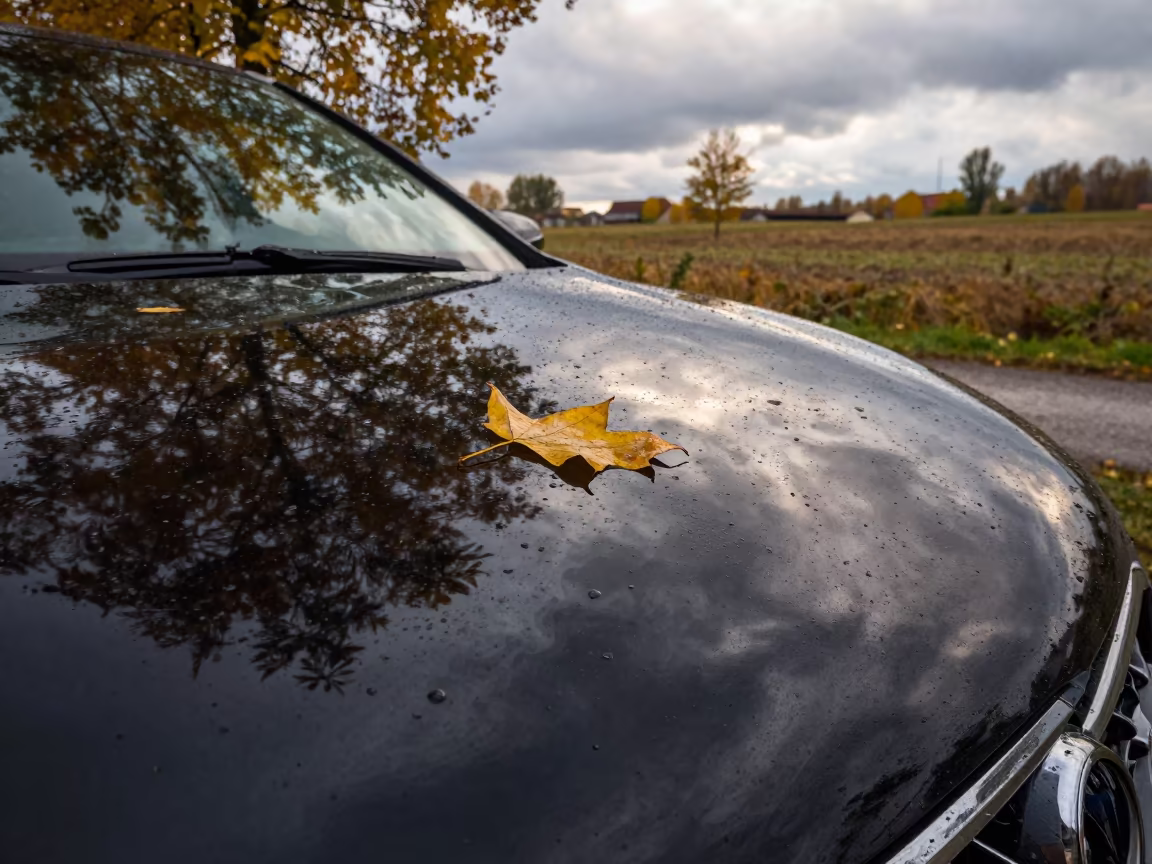 Autumn Reflections on Car Hood After Storm in in Ukraine