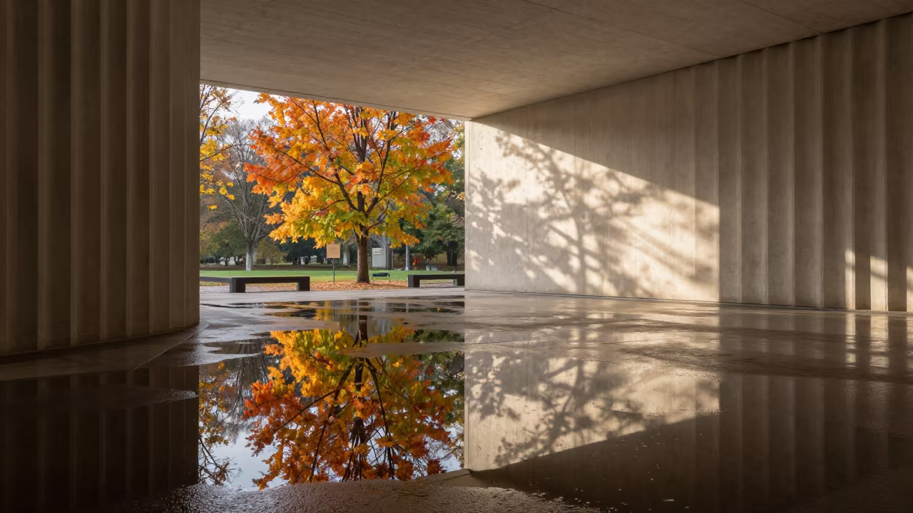 Autumn Reflections in Rain Puddle Lobby in inside a ribbed concrete lobby in Divo