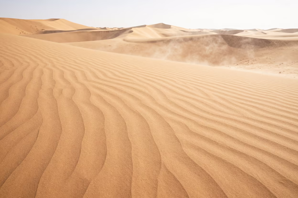 Autumn Sand Ripples Near Mashhad in near Mashhad