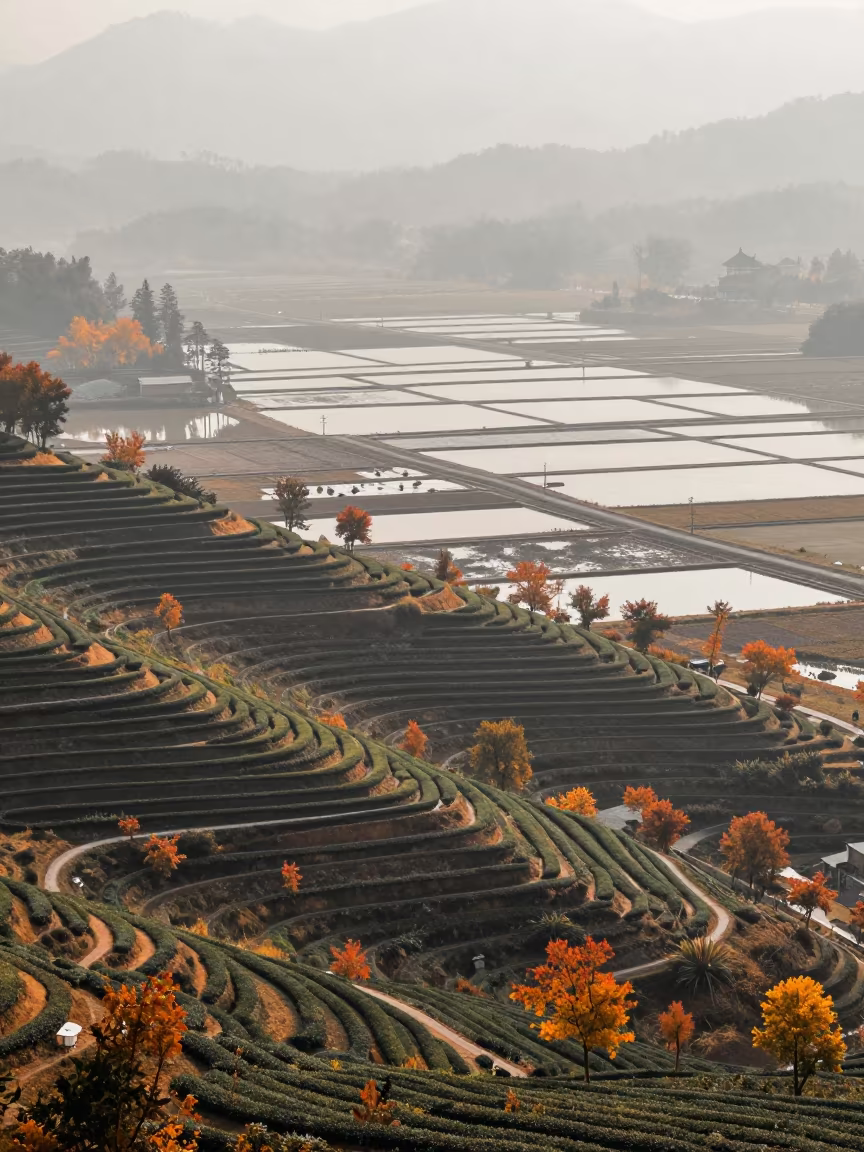 Autumn Tea Terraces Over Salt Ponds in high over salt ponds and causeways near Samara