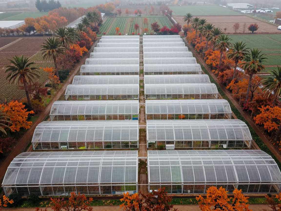 Autumn Terrace Aerial View of Greenhouse Grids in high over greenhouse grids in Provence