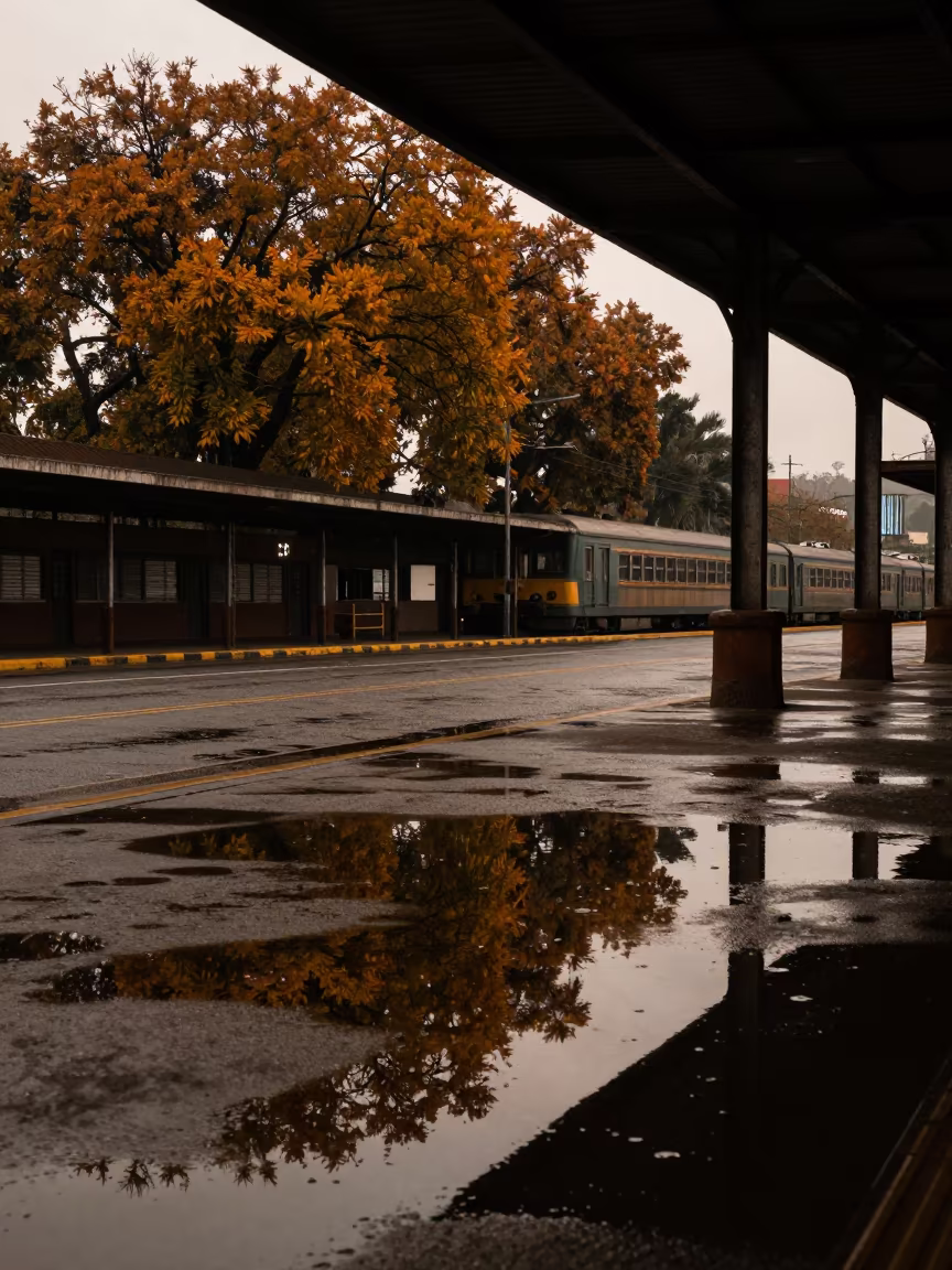 Autumn Trees in Puddle Reflection Predawn Terminal in inside a restored train terminal near Cúcuta